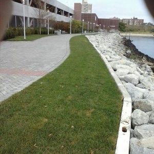 Meet your Posher, Roberto